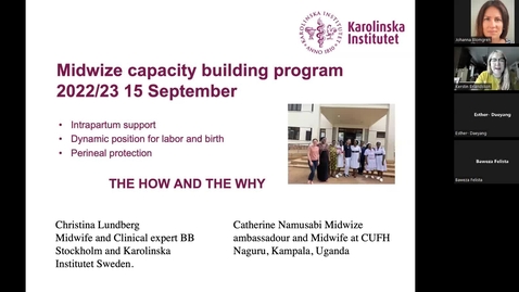 Thumbnail for Lecture on Midwife Led Quality Improvements