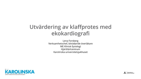 Thumbnail for Klaffproteser del 1