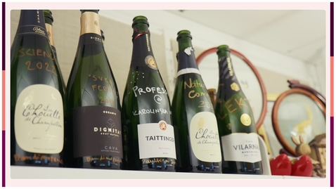 Thumbnail for Pauliina Damdimopoulou: Researching how chemicals and drugs affect female fertility