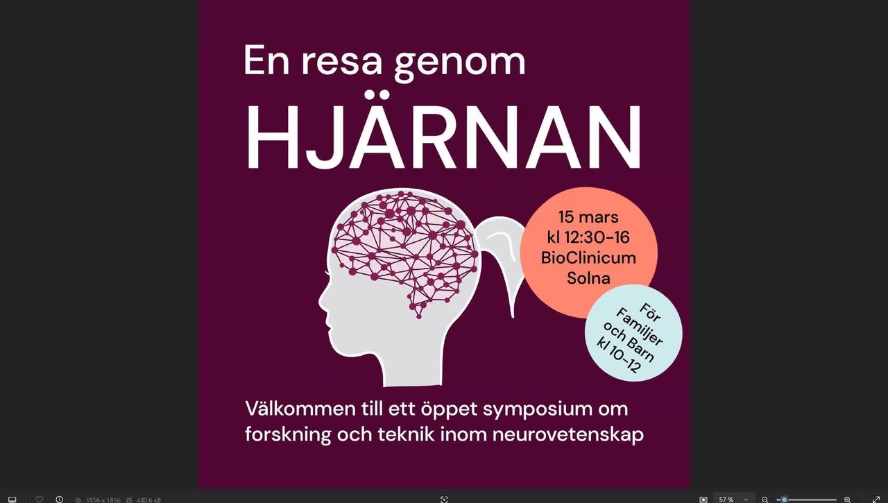En Resa Genom Hjärnan 2025