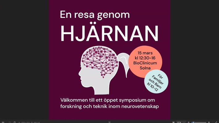 En Resa Genom Hjärnan 2025