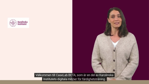Thumbnail for CaseLab BETA presentation