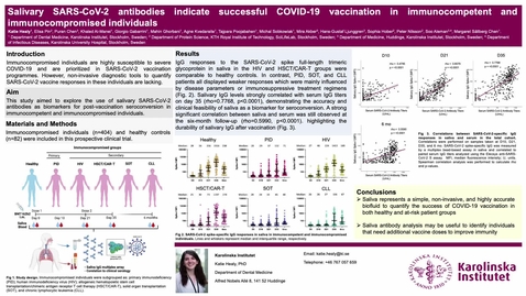 Thumbnail for Katie Healy - Poster Oral Health Symposium Precorded Video