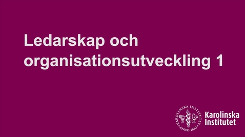 Thumbnail for Ledarskap och organisationsutveckling 1