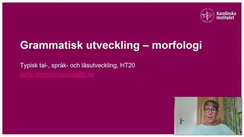 Thumbnail for Grammatisk utveckling - morfologi