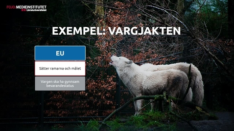 Thumbnail for EU till vardags - kap 3.2
