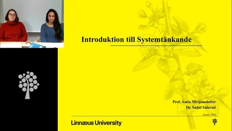 Thumbnail for Introduktion till Systemtänkande