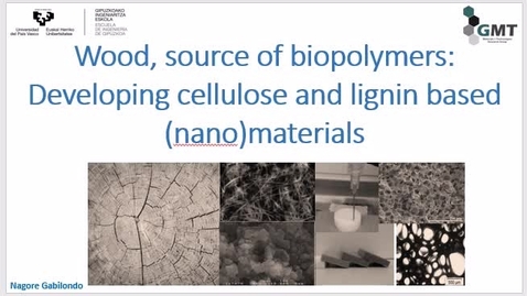 Thumbnail for Wood: a source of biopolymers 2 (Professor Nagore Gabilondo)