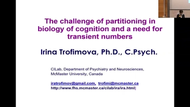 thumbnail for Irina Trofimova - QIP