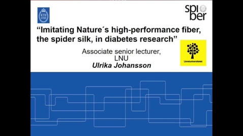 Thumbnail for Imitating Nature ́s high-performance fiber, the spider silk, in diabetes research