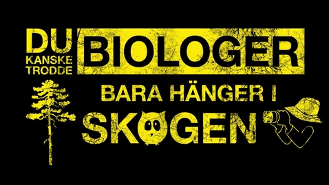 Thumbnail for Biologiprogrammet – för dig som vill vara med och rädda världen, på riktigt
