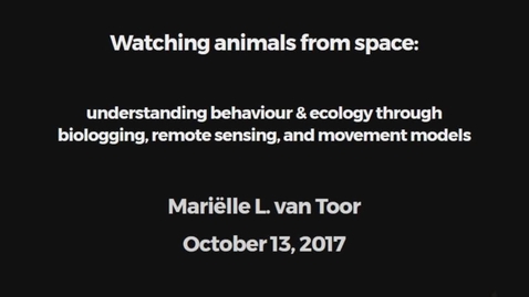 Thumbnail for Watching animals from space: understanding behaviour &amp; ecology through biologging, remote sensing, and movement models
