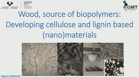 Thumbnail for Wood: a source of biopolymers 1 (Professor Nagore Gabilondo)
