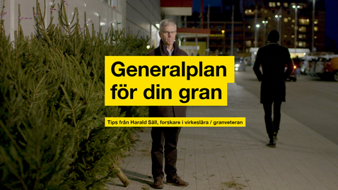 Thumbnail for Generalplan för din julgran