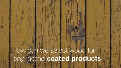 Thumbnail for Tinh´s research is about how to select wood for long lasting coated products