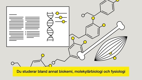 Thumbnail for Studera till biomedicinsk analytiker