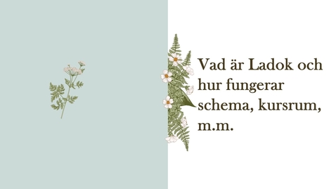 Thumbnail for Vad är Ladok och hur funkar schema, kursrum m.m