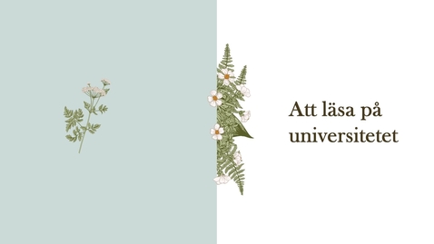 Thumbnail for Att läsa på universitet