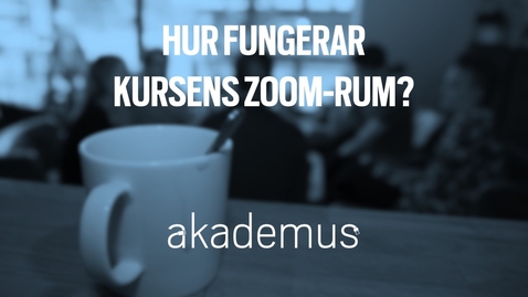 Thumbnail for Lärarperspektiv: Hur fungerar kursens Zoom-rum?