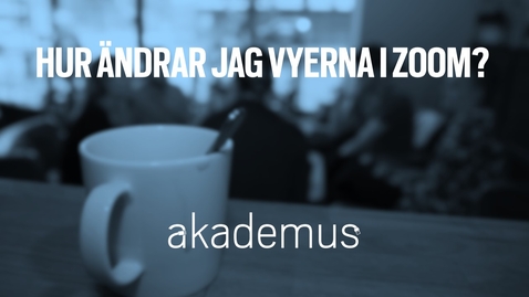 Thumbnail for Hur ändrar jag vyerna i Zoom?/How do I change the layout  in Zoom?