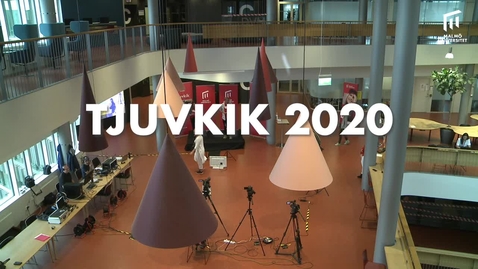 Thumbnail for TJUVKIK 2020