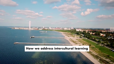 Thumbnail for Malmö University - Sweden