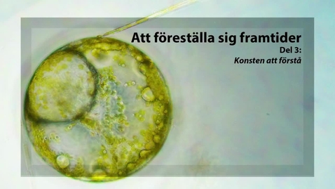 Thumbnail for Konstens möjligheter | Samtalsserie Malmö konstmuseum (del 3 av 3)