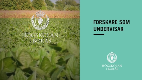 Thumbnail for Forskare som undervisar - Sunil Kumar Lindström Ramamoorthy