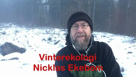 Thumbnail for Vinterekologi