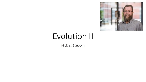 Thumbnail for Evolution II