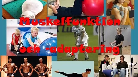 Thumbnail for Muskelfunktion