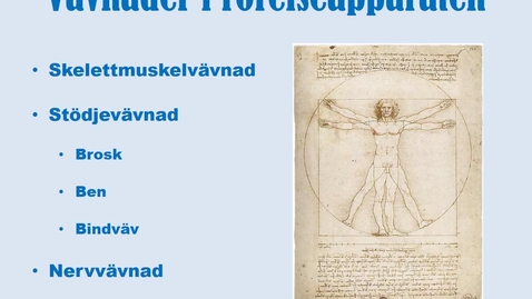 Thumbnail for Vävnader i rörelseapparaten