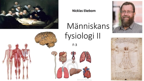 Thumbnail for Människokroppen II