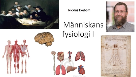 Thumbnail for Människokroppen I