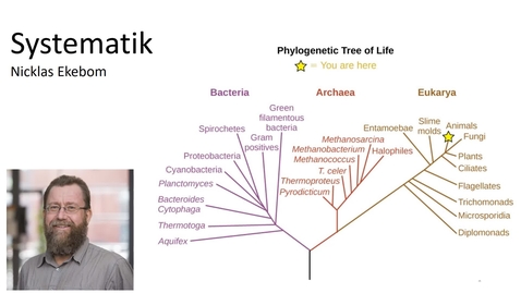 Thumbnail for Systematik