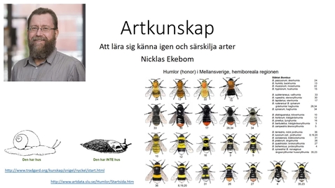 Thumbnail for Artkunskap