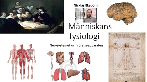 Thumbnail for Nervsystemet och rörelseapparaten