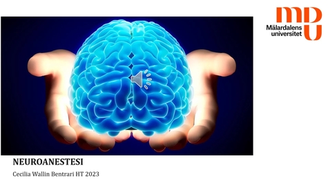 Thumbnail for PP inspelning neuroanestesi HT23