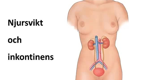 Thumbnail for Njursvikt och inkontinens