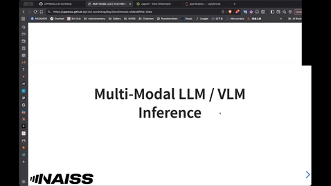 Thumbnail for NAISS LLM Workshop Nov 2025 part 2.4 Multi-Modal LLM/VLM Inference