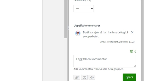 Thumbnail for Avvikande bedömning i gruppinlämning