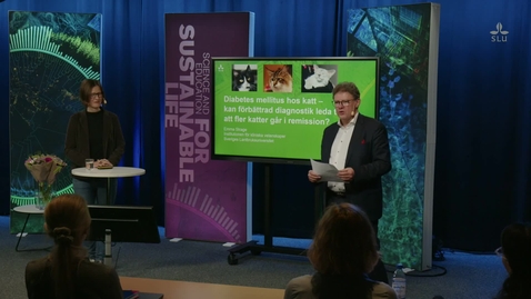Thumbnail for Clip of docent lecture, Emma Strage, VH-faculty