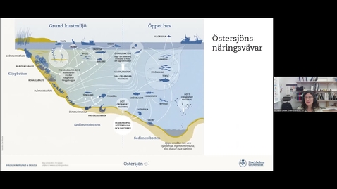 Thumbnail for Webbinar - Att sprida ringar på vattnet - Östersjöns näringsvävar - Michaela Lundell, Östersjöcentrum, SU
