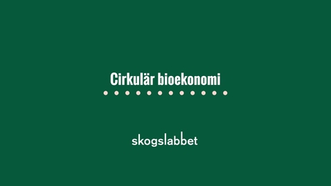 Thumbnail for Skogslabbet infografik: Cirkulär bioekonomi