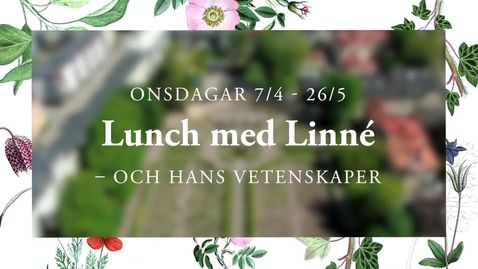 Thumbnail for Lunch med Linné