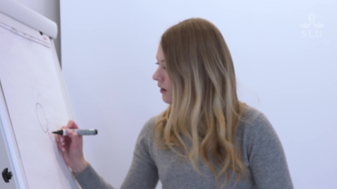 Thumbnail for #pluggahållbart - Izabel Nordlund