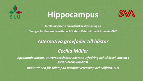 Thumbnail for Alternativa grovfoder till hästar, Cecilia Müller