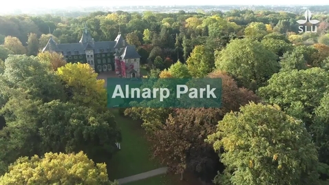 Thumbnail for Alnarp park