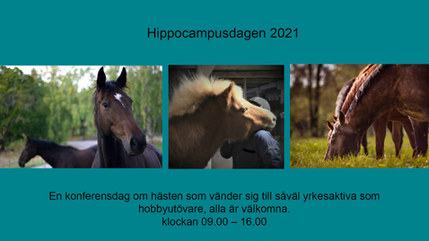 Thumbnail for Hippocampusdagen 2021