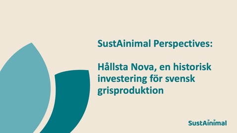 Thumbnail for SustAinimal Perspectives – Hållsta Nova, en historisk investering för svensk grisproduktion